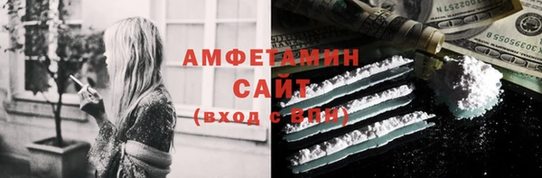 прущий лед Бородино