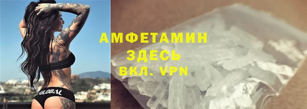 прущий лед Бородино