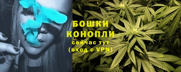 ECSTASY Бронницы