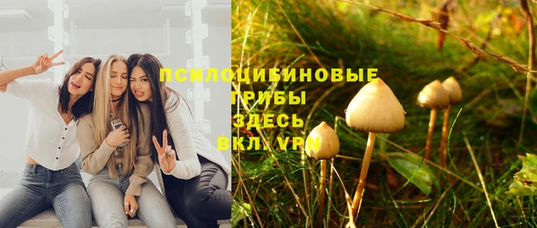 прущий лед Бородино