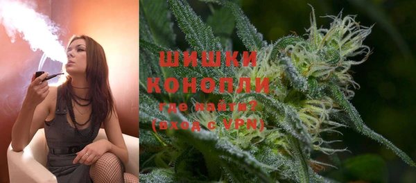прущий лед Бородино